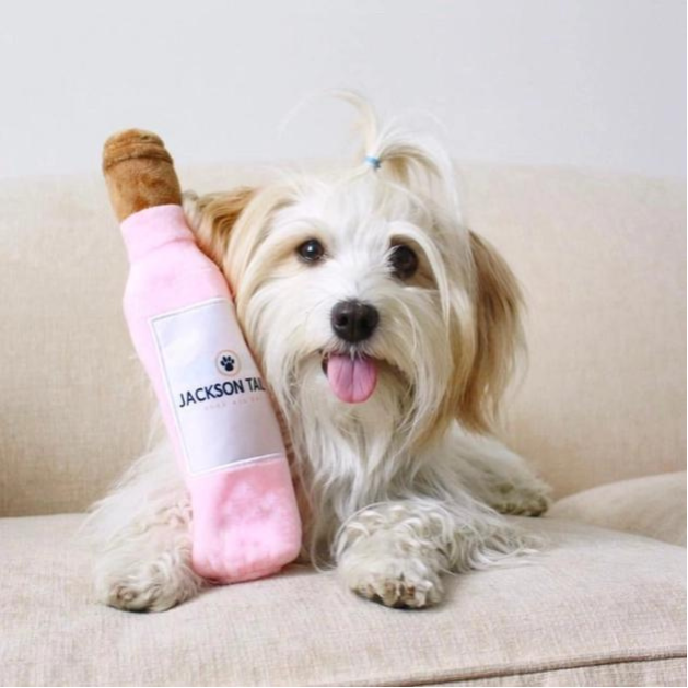 White dog with Jackson Tails pink dog toy