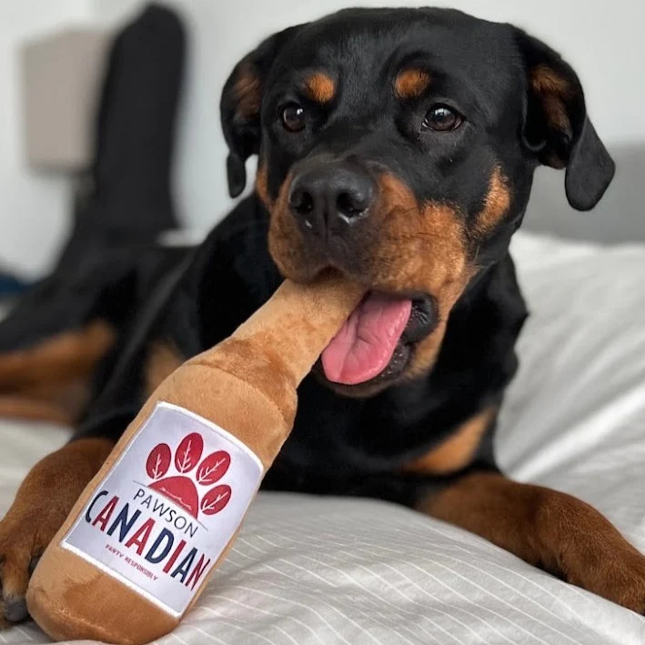 Rottweiler dog with Pawson Canadian dog toy